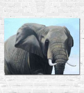 Female elephant painting